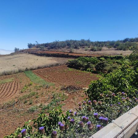 Finca El Cercadillo Gáldar Exteriér fotografie