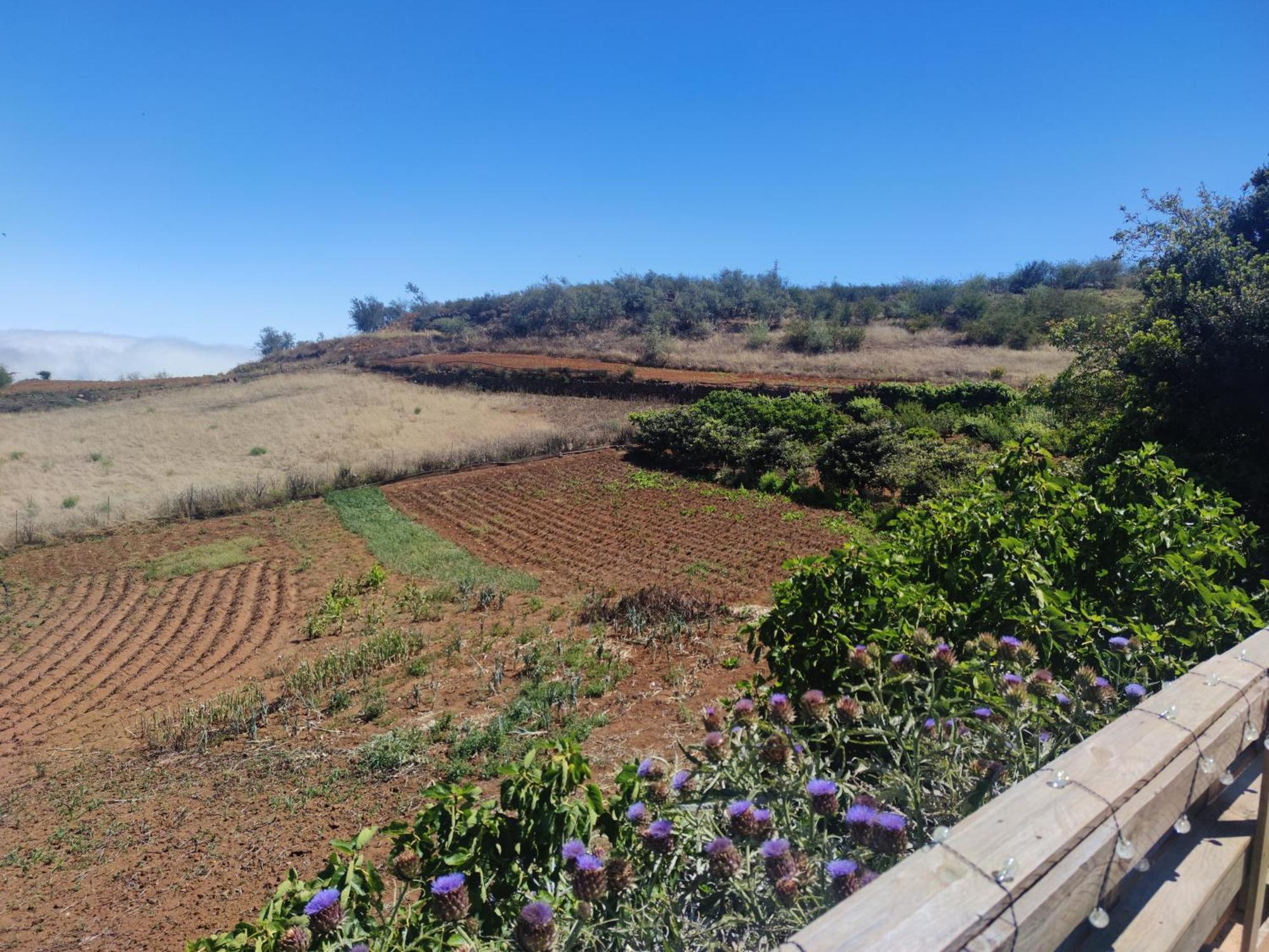 Finca El Cercadillo Gáldar Exteriér fotografie